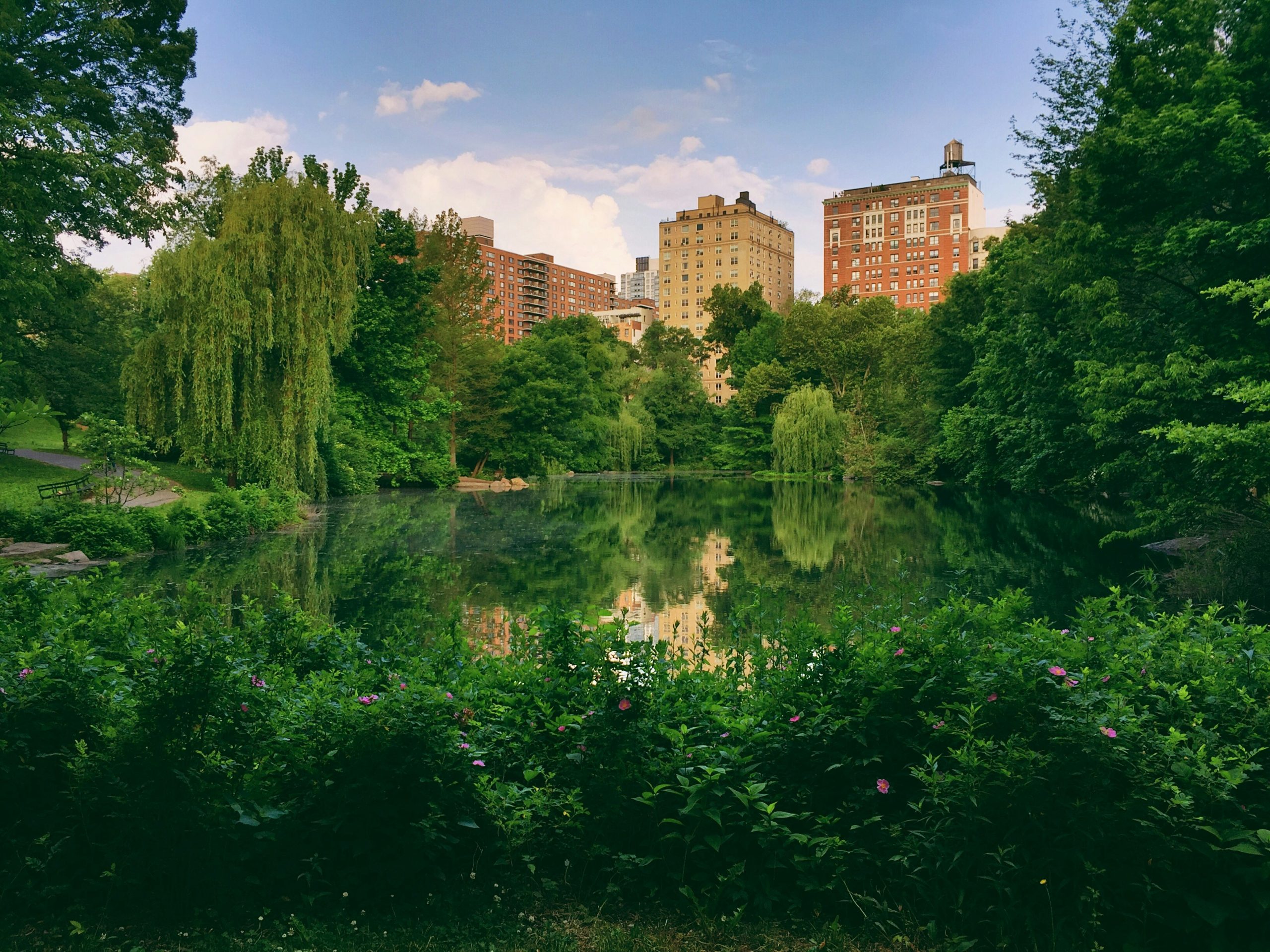 Central Park New York City