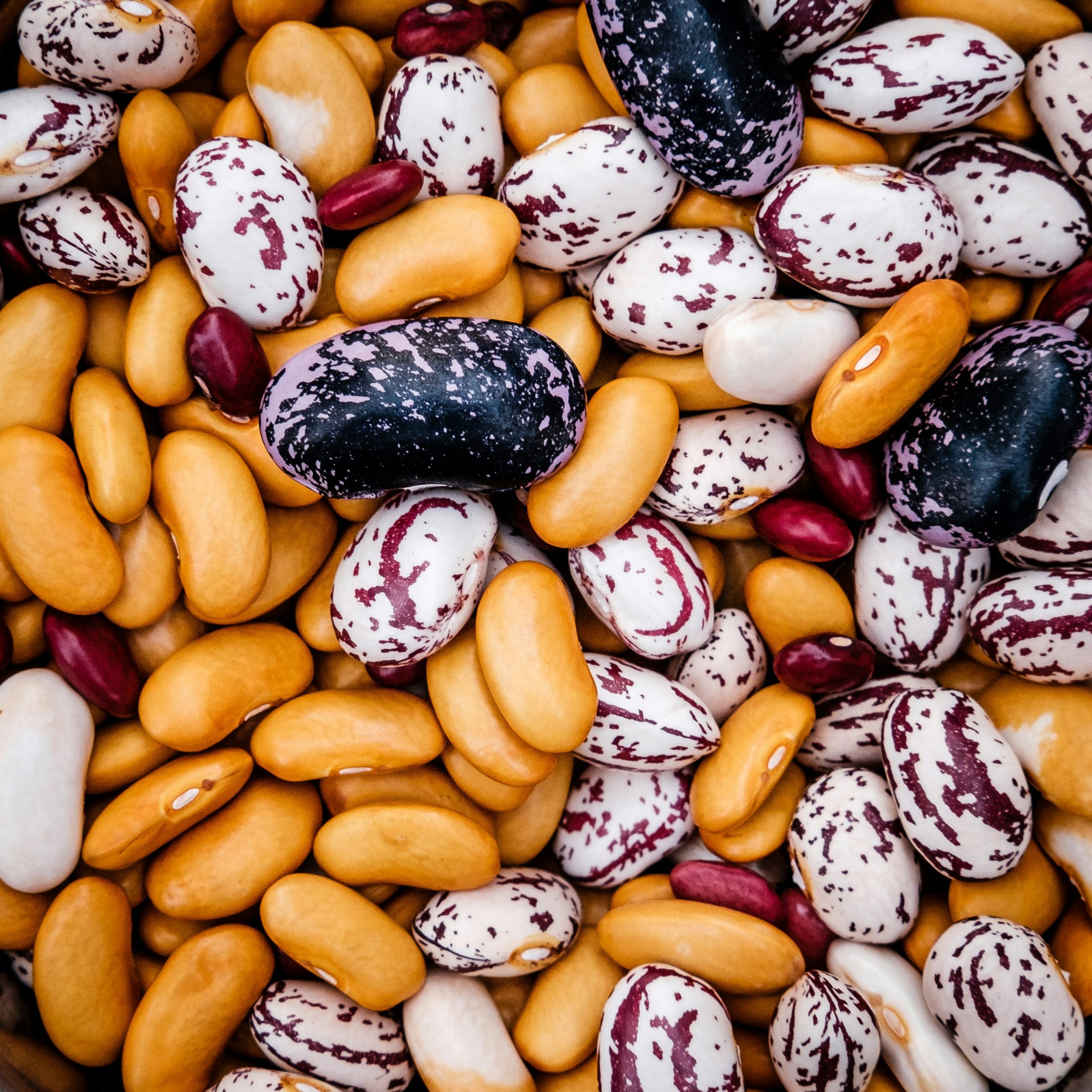 image of beans